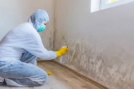 Best Mold Removal for HVAC Installations  in Friedens, PA