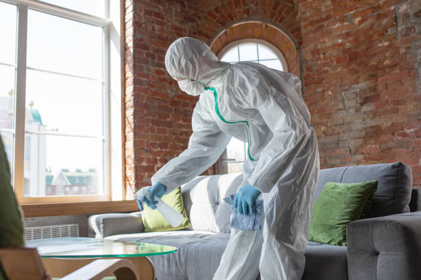 Best Black Mold Removal  in Friedens, PA